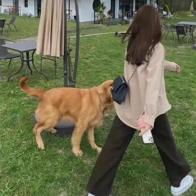 火光之地